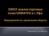 SWOT-анализ торговых точек ORMATEK в г. Уфа. Мероприятия по увеличению оборота