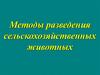 Методы разведения сельскохозяйственных животных