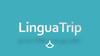 LinguaTrip. History of the company