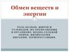 Обмен веществ и энергии. Роль белков, жиров и углеводов, их превращения в организме. Водно-солевой обмен. Терморегуляция