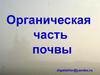 Органическая часть почвы