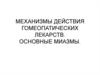 Механизмы действия гомеопатических лекарств. Основные миазмы. Гомеопатия 2