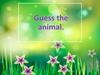 Guess the animal