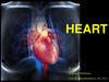 Сердце. Лечебное дело