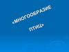 Многообразие птиц