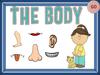 The body