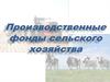 Производственные фонды сельского хозяйства