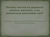 Почему листья на деревьях осенью желтеют, а на комнатных растениях нет?