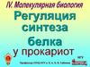 Регуляция синтеза белка у прокариот и эукариот
