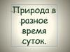 Природа в  разное время суток