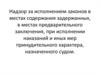 Надзор за исполнением законов в местах содержания задержанных