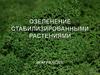 Озеленение стабилизированными растениями. ООО PRACTIK