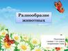 Разнообразие животных