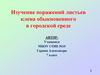 Изучение поражений листьев клена обыкновенного в городской среде