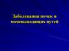 Заболевания почек и мочевыводящих путей. Лекция №16