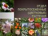 Отдел покрытосеменные (цветковые) растения