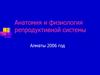 Анатомия и физиология репродуктивной системы