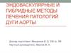 Эндоваскулярные методы лечения заболеваний дуги аорты