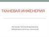 Тканевая инженерия