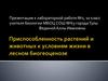 Приспособленность растений и животных к условиям жизни в лесном биогеоценозе