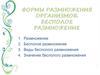 Формы размножения организмов. Бесполое размножение