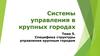 Специфика структуры управления крупным городом. (Тема 5)