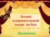 Летний оздоровительный лагерь "Лесовичок" на базе школы, г. Владимир