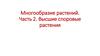 Многообразие растений. Высшие споровые растения.  Часть 2