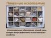 Полезные ископаемые