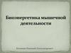 Биоэнергетика мышечной деятельности