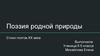 Поэзия родной природы. Стихи поэтов XX века. 8 класс