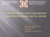 Жұйке жұйесі ауруларының нейровизуализациялық зерттеу әдістері