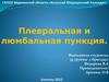 Плевральная и люмбальная пункция