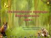 Разнообразие природы Воронежского края