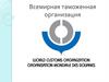 Всемирная таможенная организация