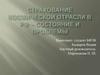 Страхование космической отрасли в РФ – состояние и проблемы