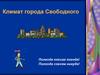 Климат города Свободного