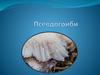Псевдогриби. Грибоподібні організми