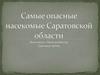 Самые опасные насекомые Саратовской области