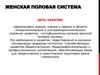 Женская половая система