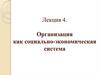 Организация как социально-экономическая система