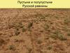 Пустыни и полупустыни Русской равнины