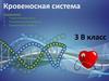 Кровеносная система. 3  класс