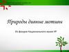 Виртуальная выставка «Природы дивные мотивы», из фондов Национального музея УР
