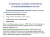 Структура і основні компоненти телекомунікаційних систем