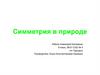 Симметрия в природе