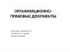 Организационно-правовые документы