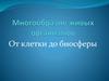 Многообразие живых организмов. От клетки до биосферы