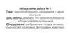 Приспособленность организмов к среде обитания. Лабораторная работа № 4