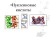 Нуклеиновые кислоты